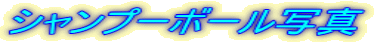 Vv[{[ʐ^