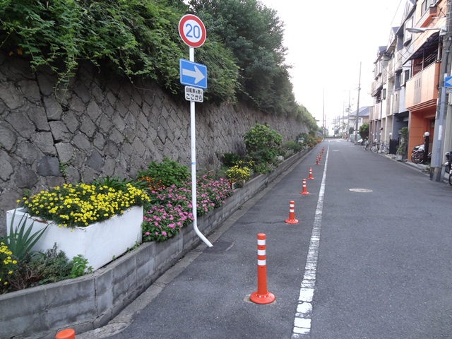 貨物線沿いのお花畑